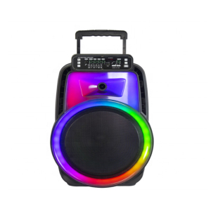 AVCROWNS CH-1228 Prenosivi Karaoke Bluetooth Zvučnik