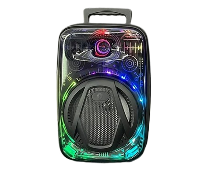AVCROWNS CH-880 Prenosivi Karaoke Bluetooth Zvučnik