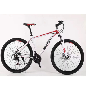 BEGASSO TY-511 Bicikl 24 inča beli
